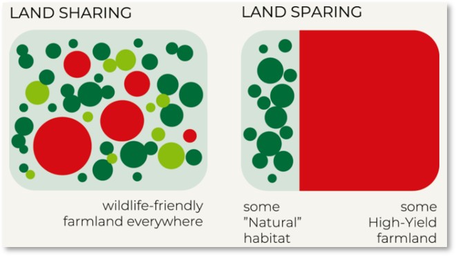 Land sparing vs land sharing