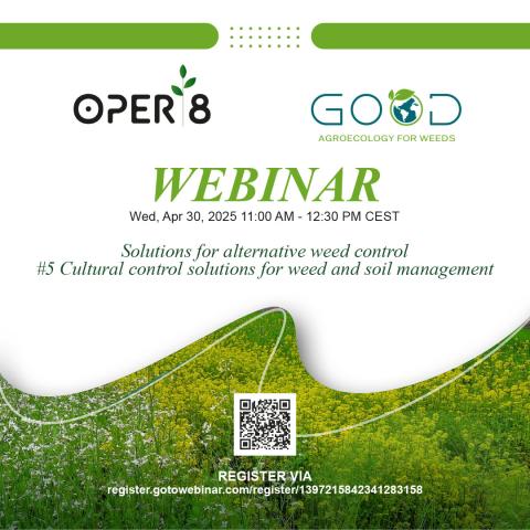 Webinar Poster