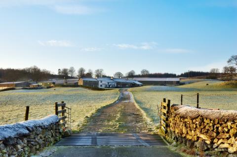 Frosty Farm Lane