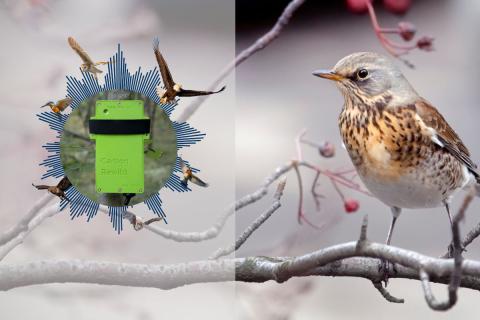 Biodiversity Monitoring Made Easy