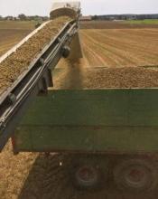 Biomass Pellet Production