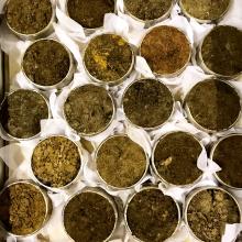 Early indicators to monitor changes in soil health: evidence to update guidance for UK farmers