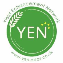 YEN logo