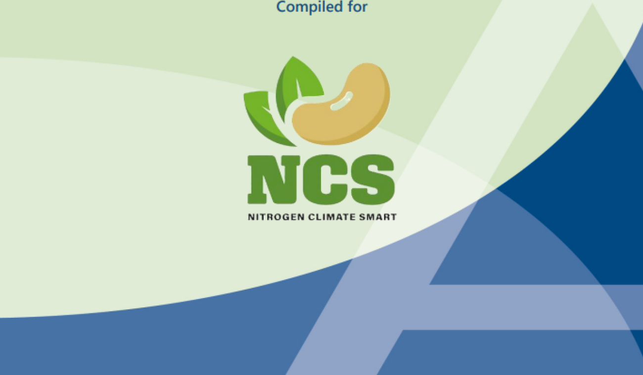 The cover page from the report